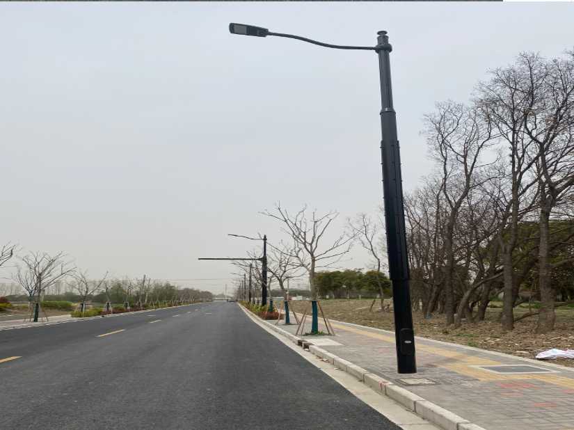 聂荣县上海综合杆 太阳能路灯工程